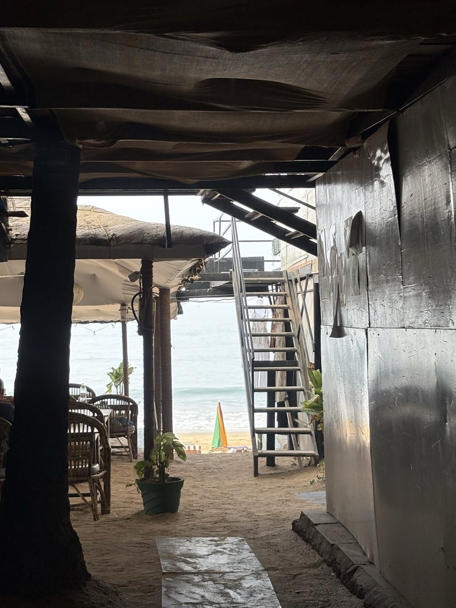 emolibrabf tweet media