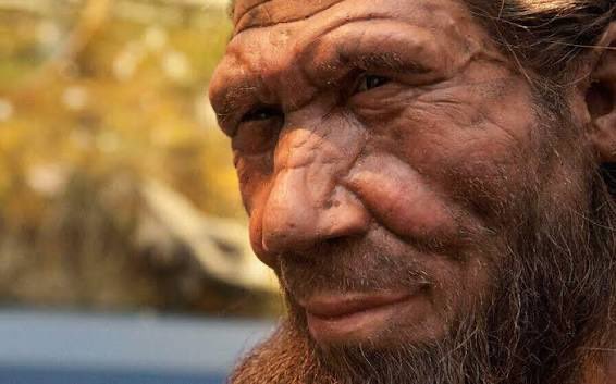 African football scouting. tweet media