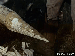 Kasza Manna tweet media