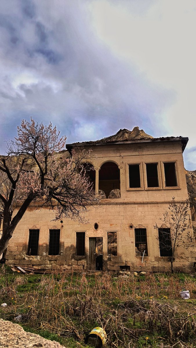 Gamziş 🐼 tweet media