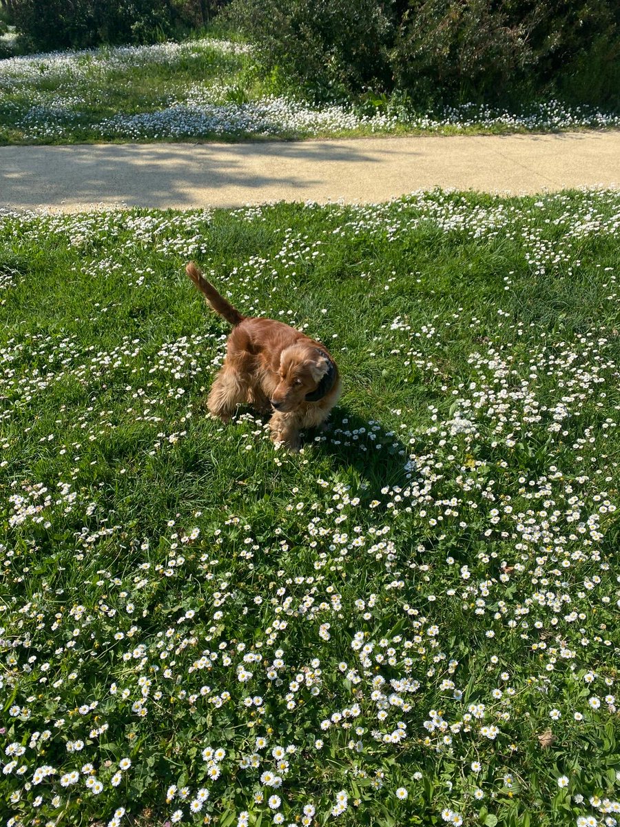 Nellina (@amarimarisa) on Twitter photo 