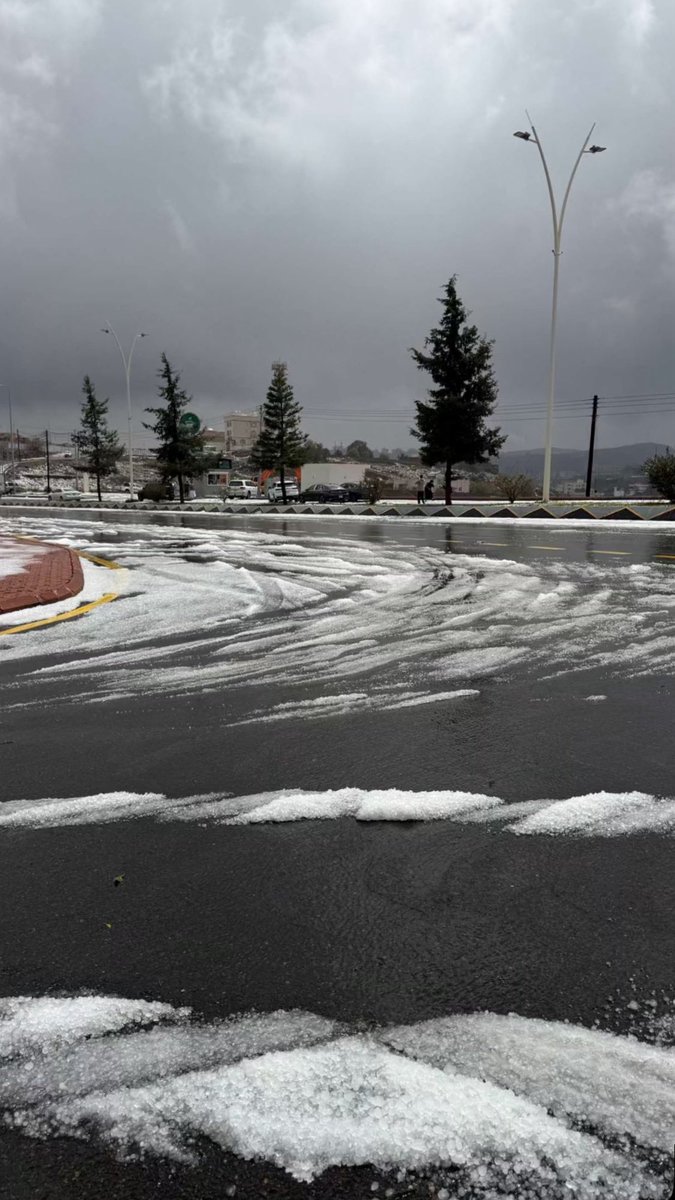 غيم❀ tweet media