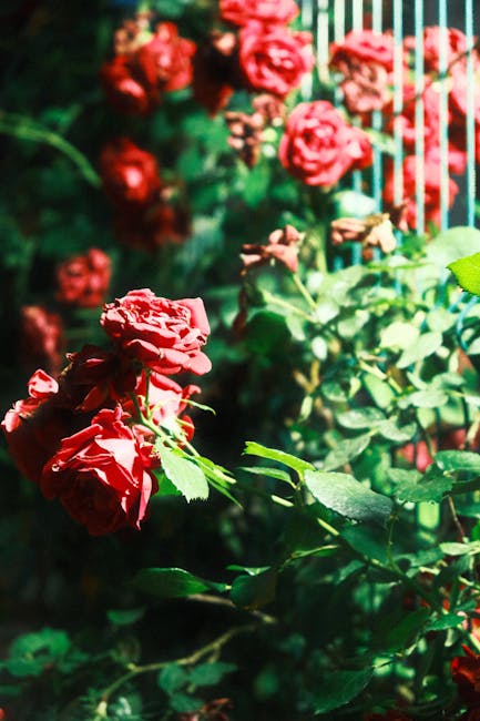 David Adams tweet media