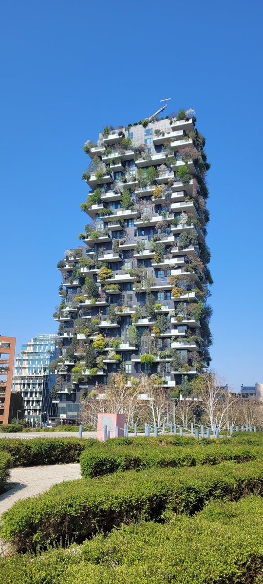 Менгел tweet media