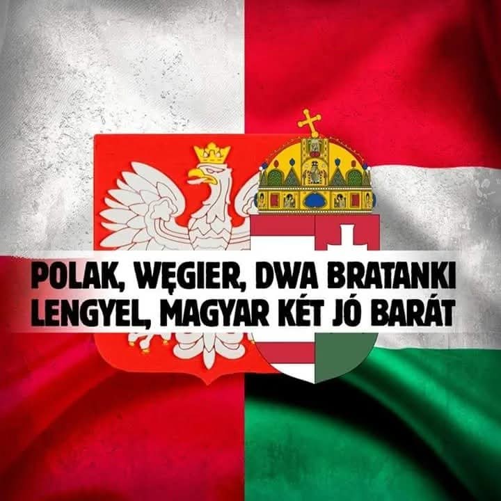 Tusk Vision Network tweet media