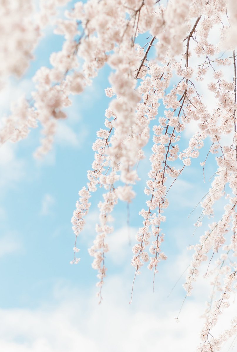 木佐貫直人/art6d tweet media