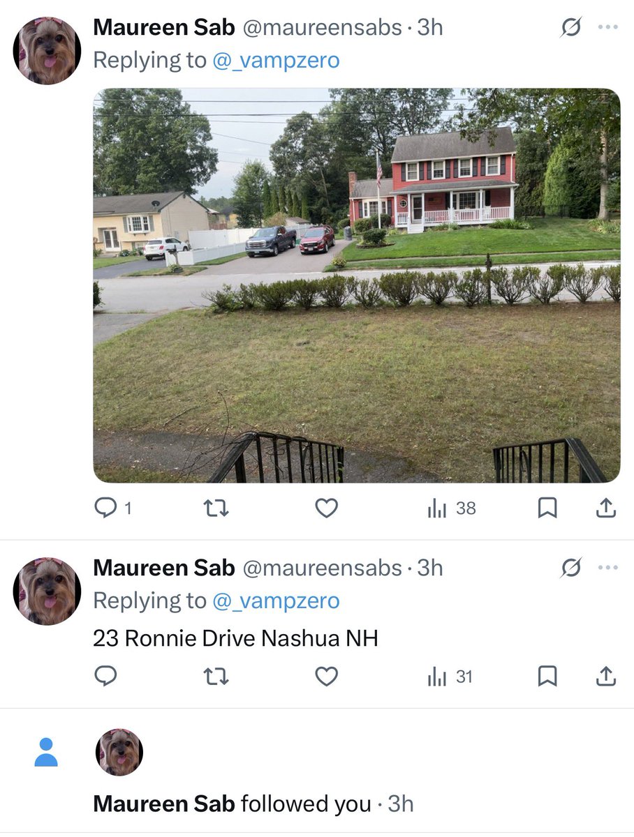 Tracy Freeland of shedtwt 😸 tweet media