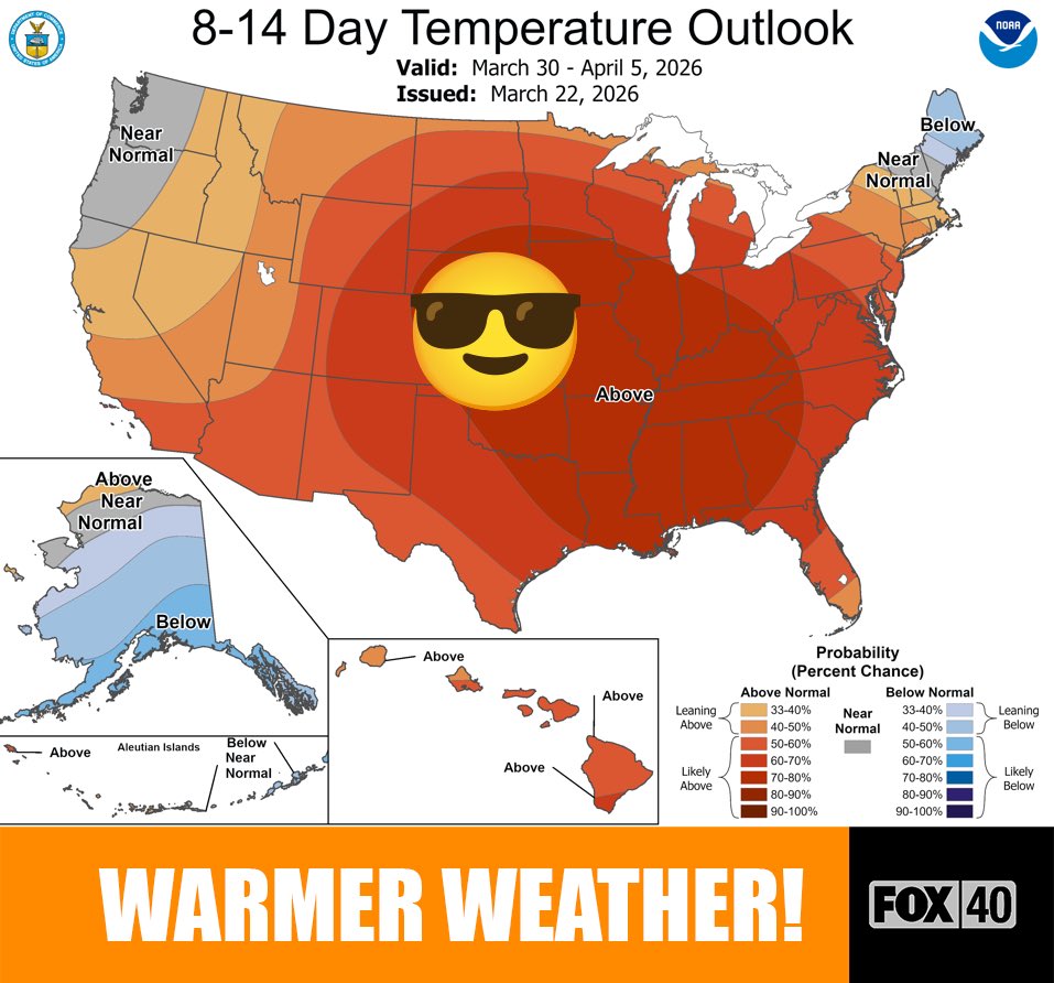 Mark Tarello tweet media