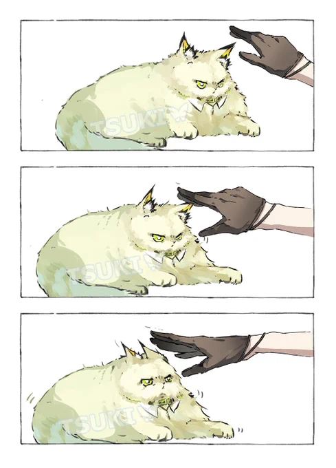 ケルシー先生もふもふしたいけど…… 