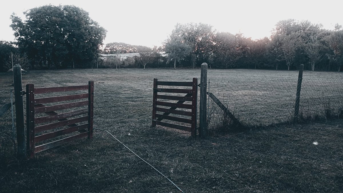 ElNegroVicente🇦🇷 tweet media