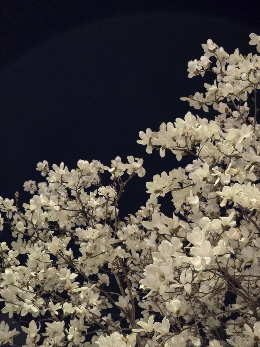 동그라미 tweet media