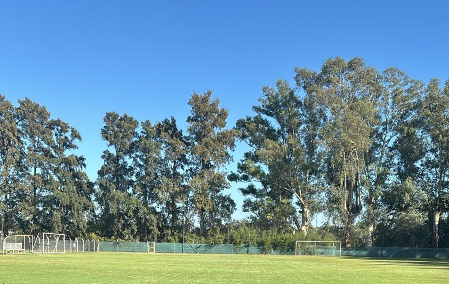 El Show De Ferro tweet media