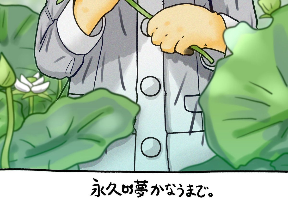 ｽﾐﾚｯｶ🪷チア合同また募集中! tweet media