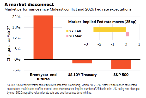 MTS Insights tweet media