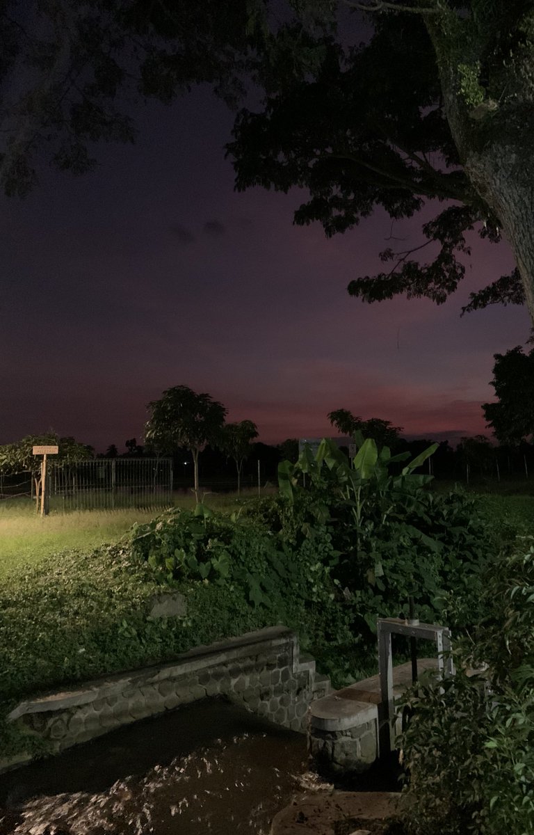 Anotherdim’s tweet media