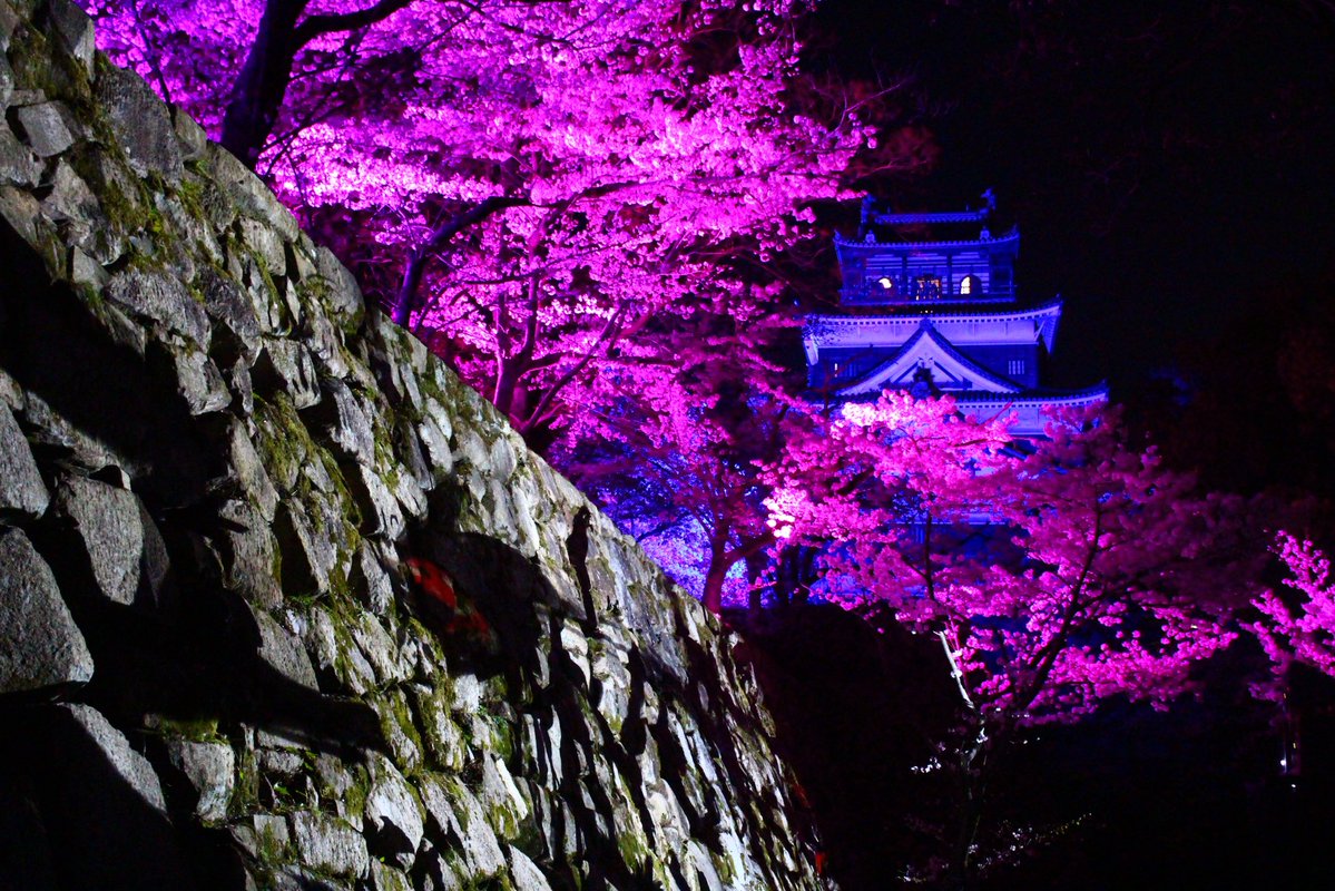 村上正晃（広島平和記念公園ガイド） tweet media