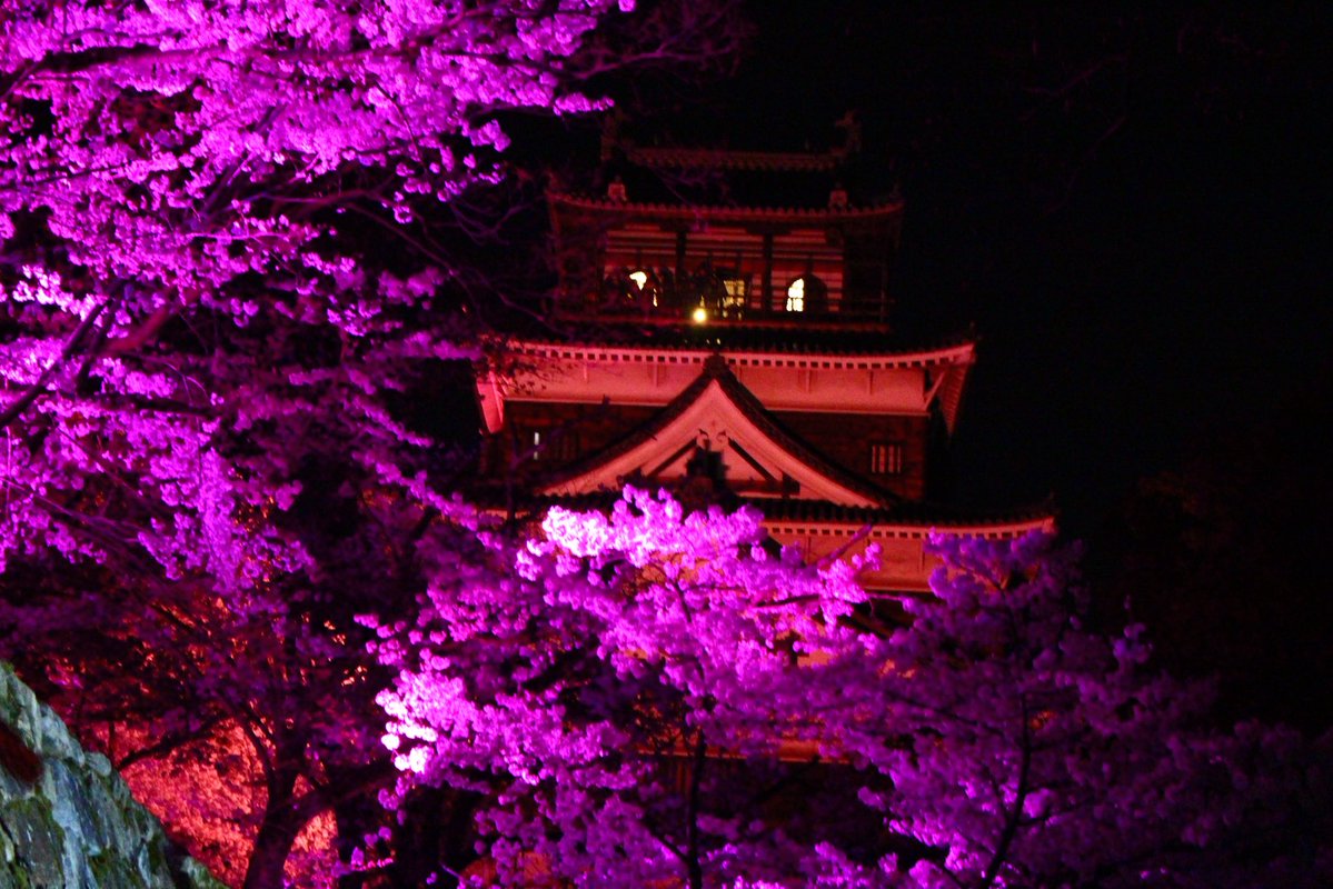 村上正晃（広島平和記念公園ガイド） tweet media