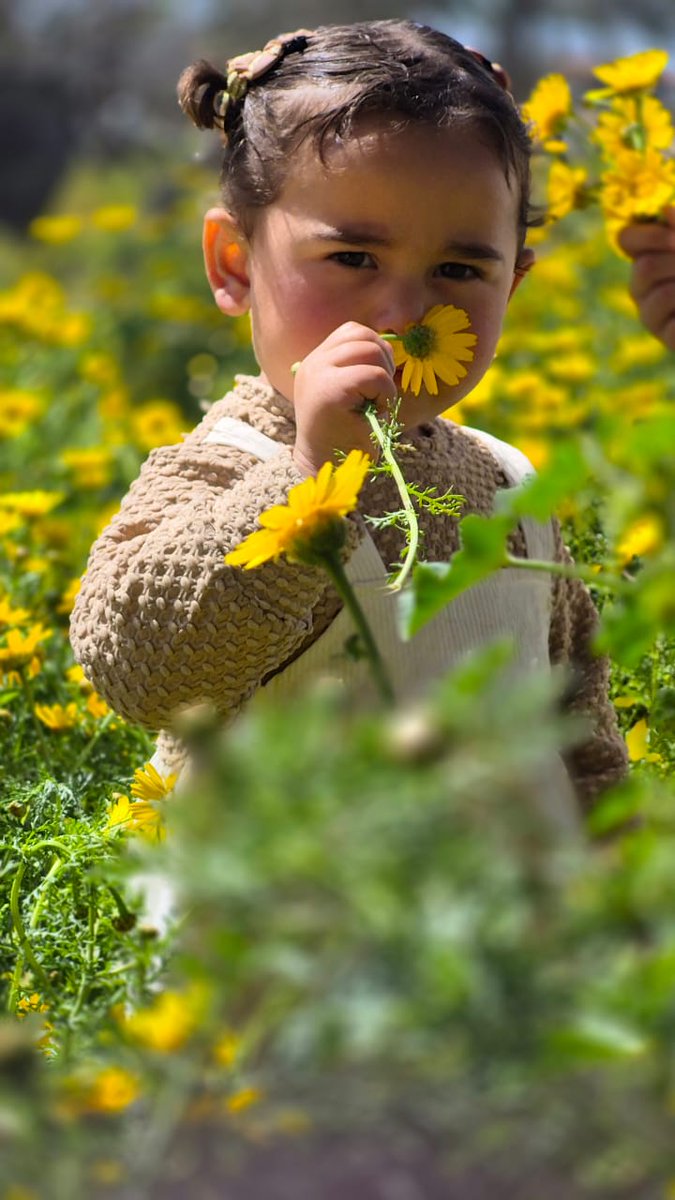 MariamEdwa23144's tweet photo. Beautiful kids from Gaza🌻
Oh my heart ❤️
#Gaza #Gazachild https://t.co/ijiIyjtw0t