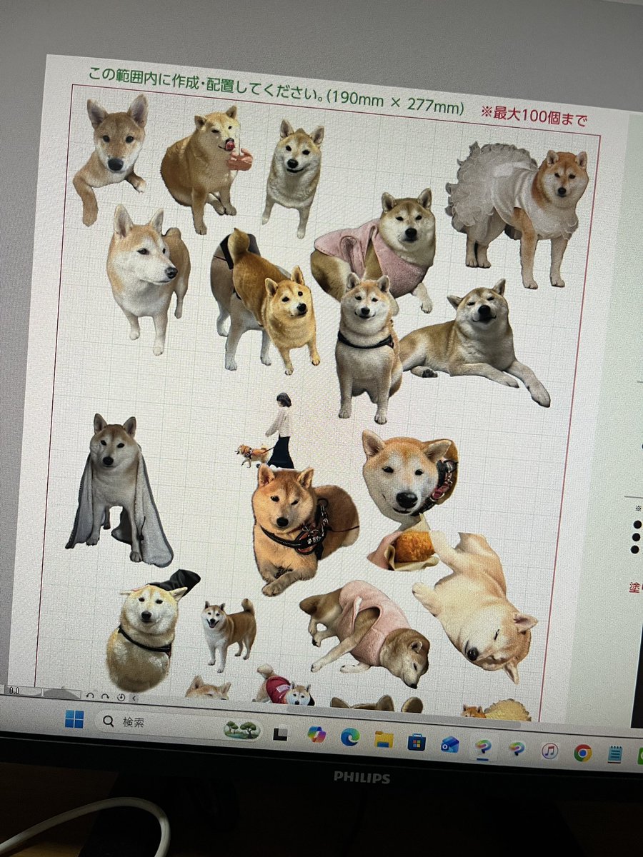 しょまー tweet media