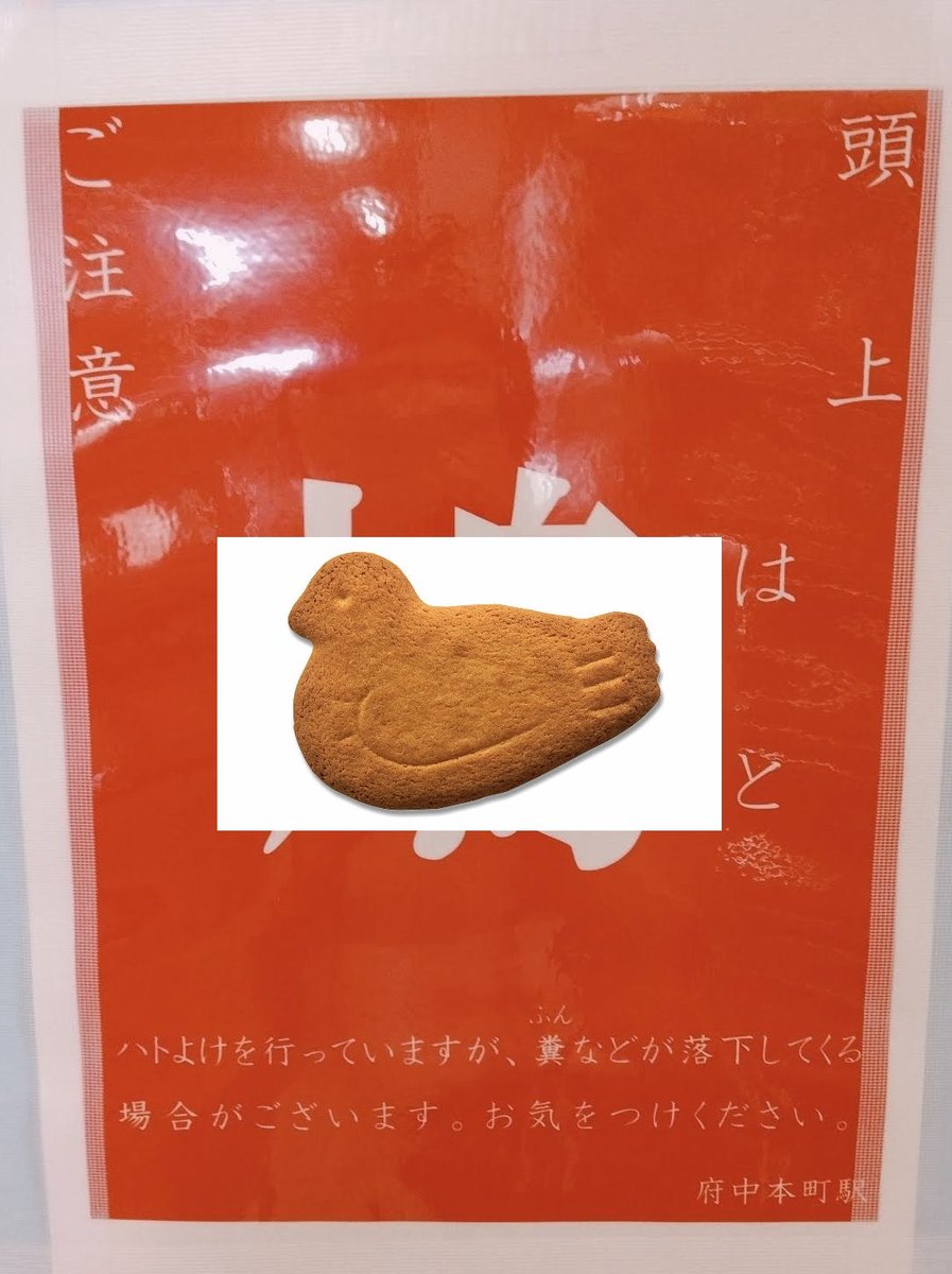 明け方御前 tweet media