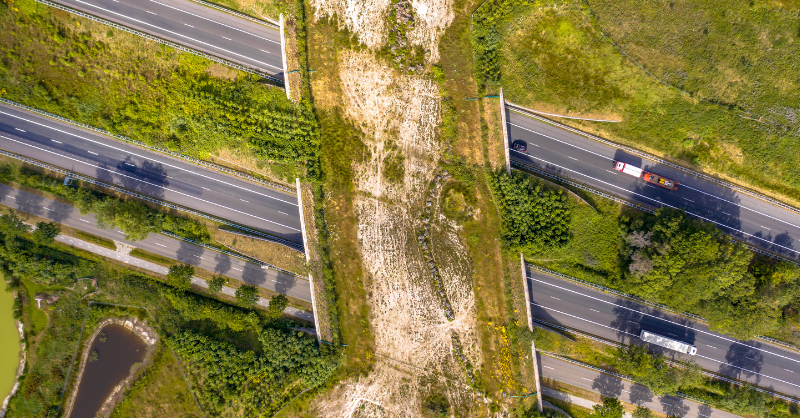 Banco Mundial tweet media