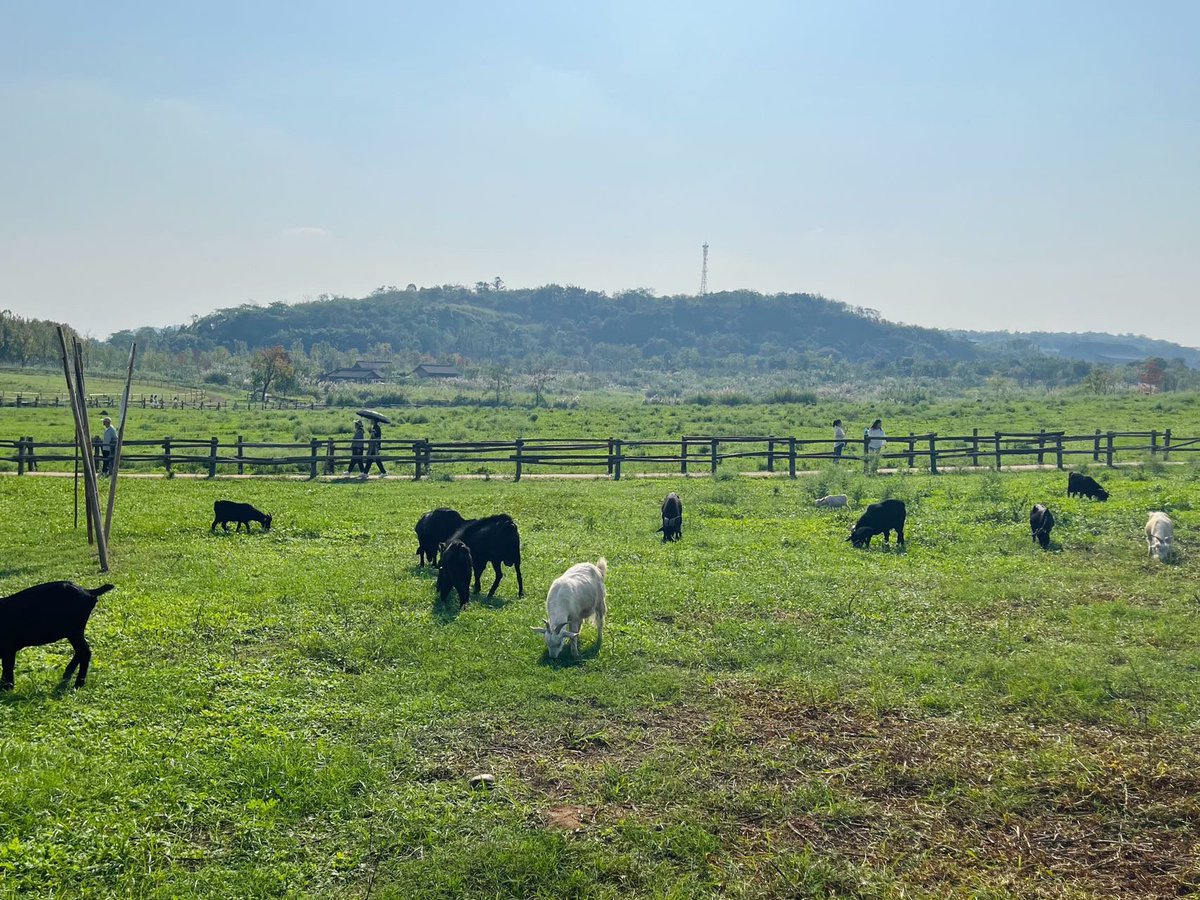 Stuart Cole tweet media