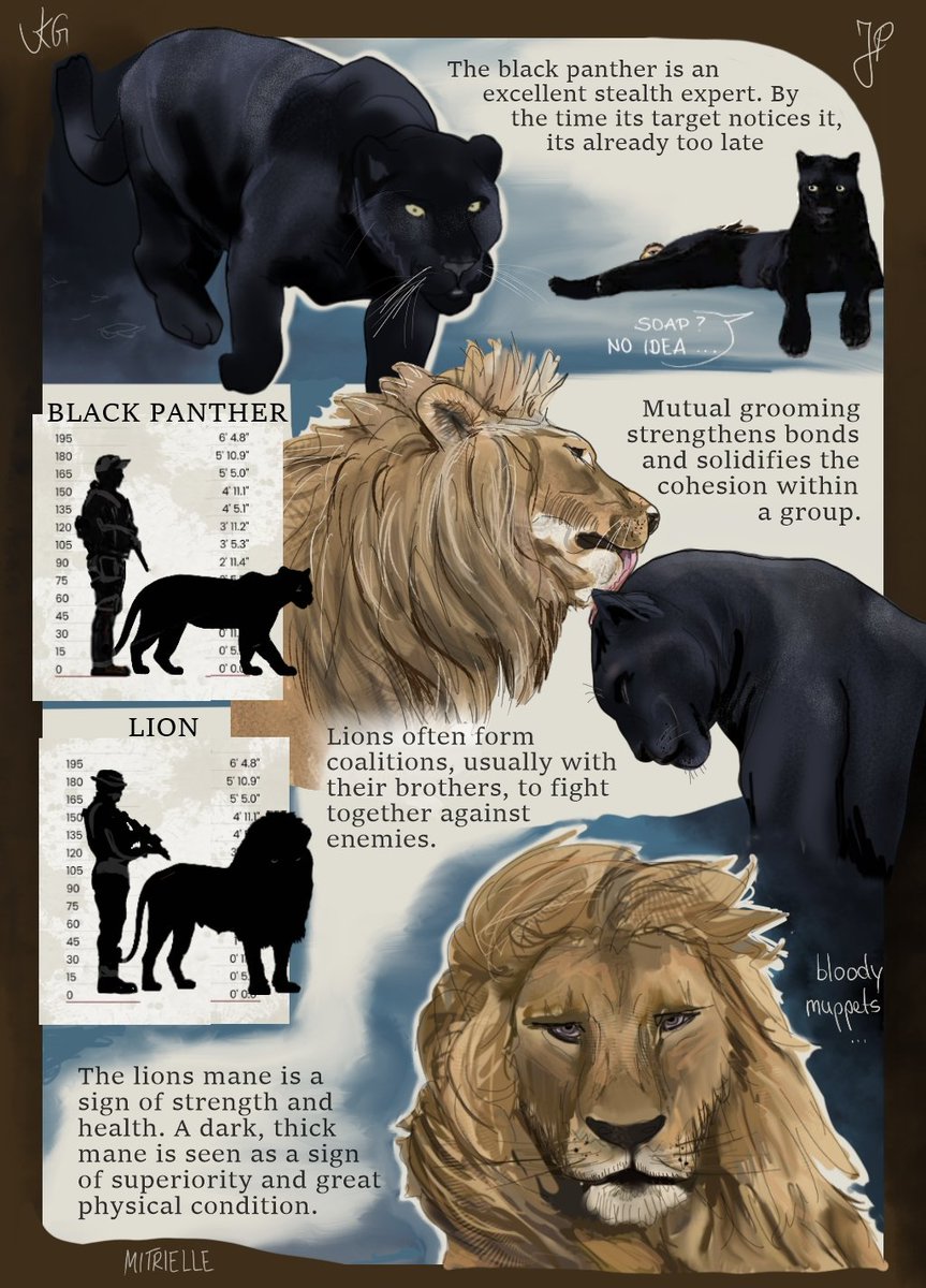 Mitrielle tweet media