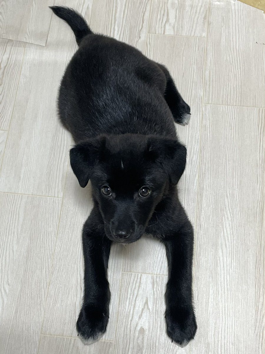 알베르 까뮈 tweet media