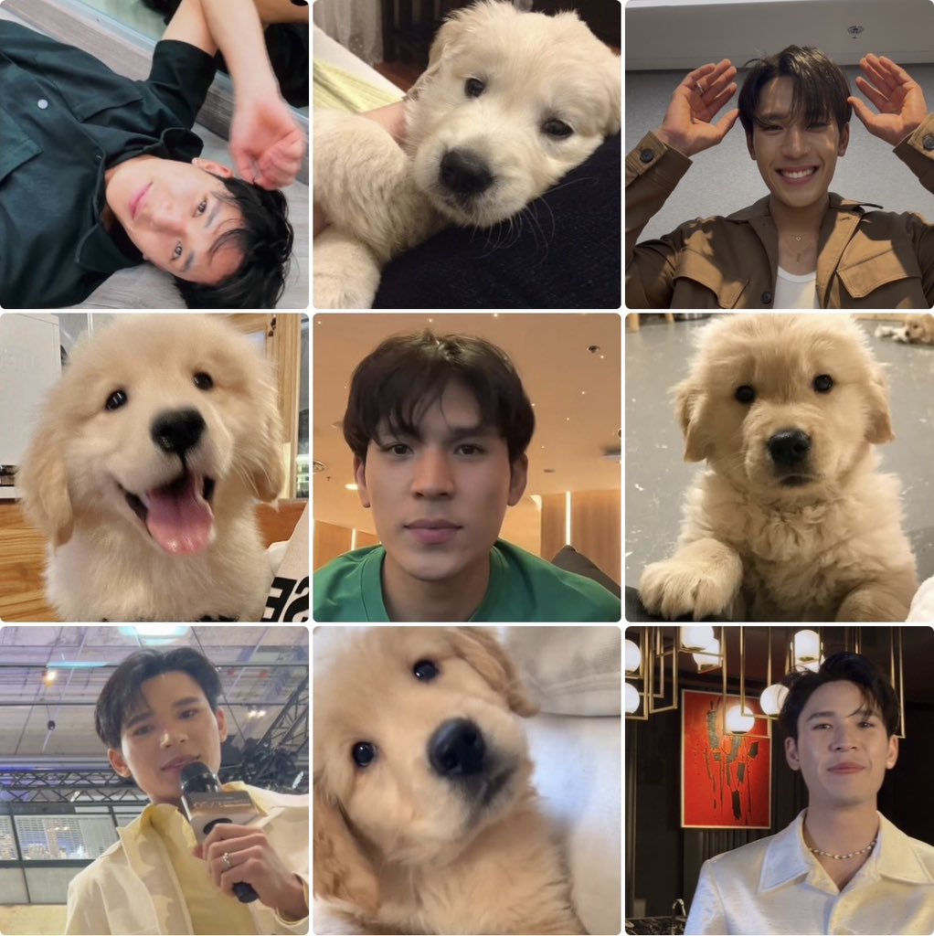 pikaa blu ʕ•ᴥ•ʔ 𖾕𖾝꙼ᩚ𛲕𖾟 tweet media