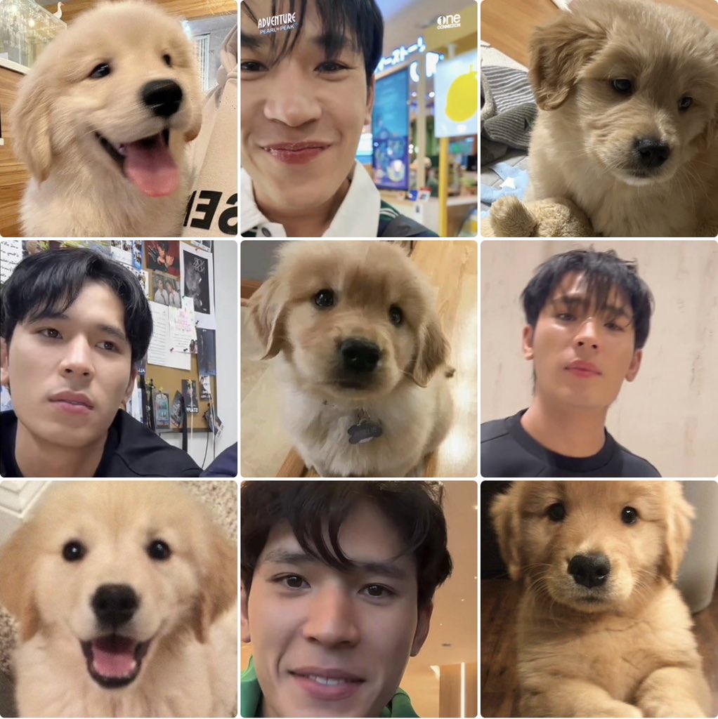 pikaa blu ʕ•ᴥ•ʔ 𖾕𖾝꙼ᩚ𛲕𖾟 tweet media