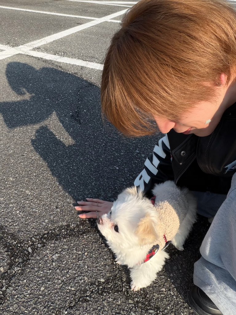 justynka tweet media