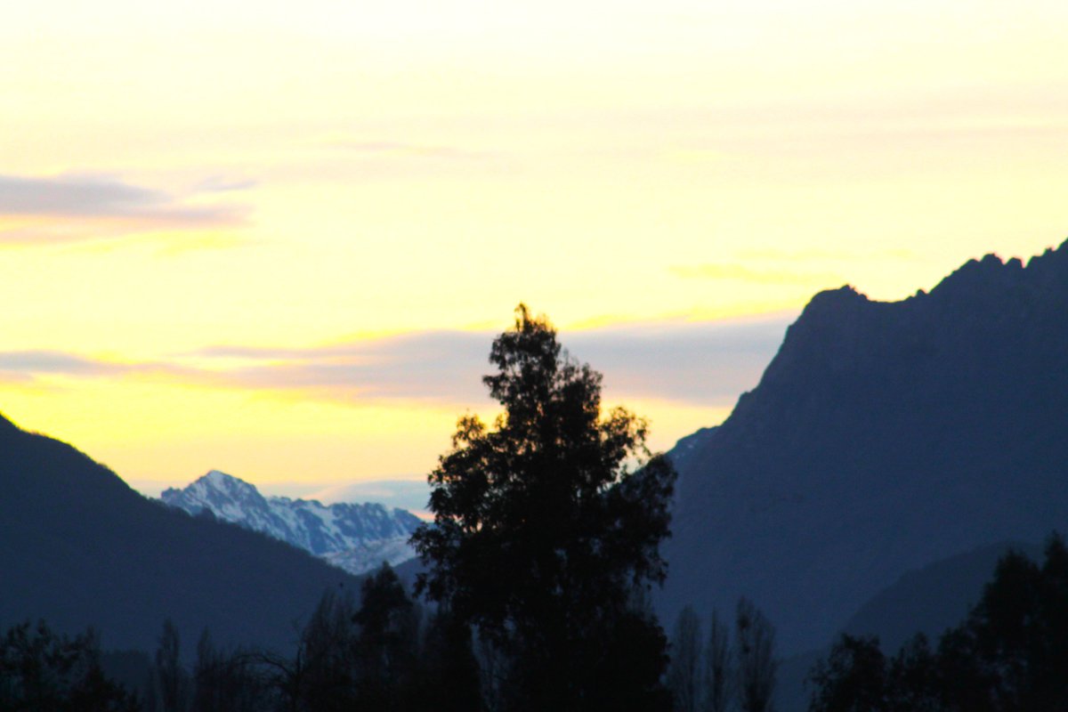 Campesino letriao' tweet media