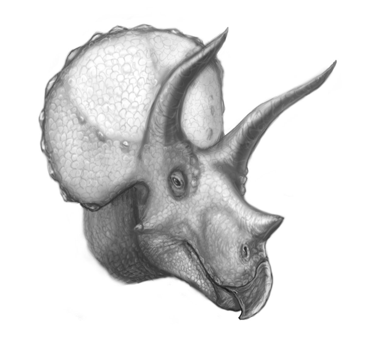 丸狐(maru_Ko) tweet media