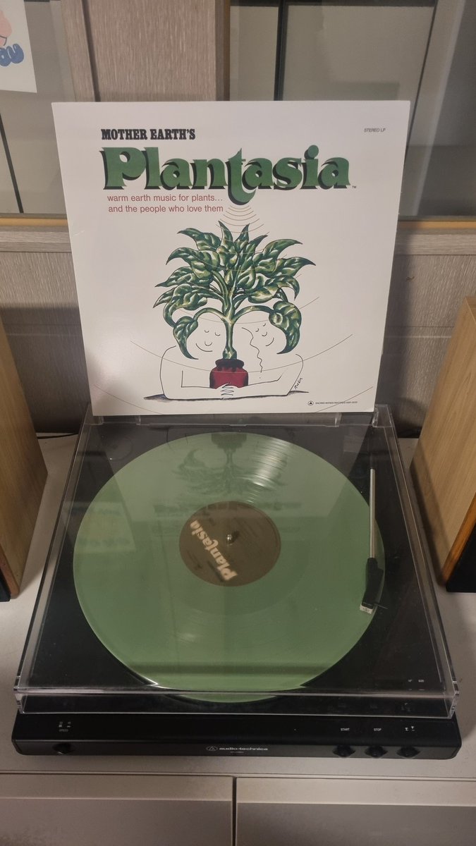 뉴 청 경 채 tweet media