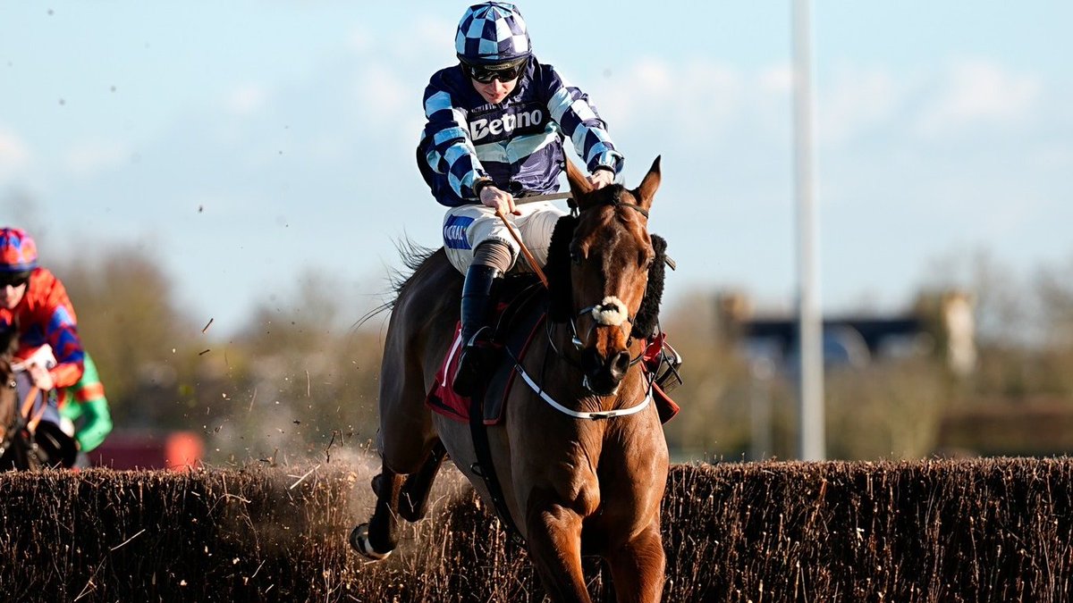 Mr. Racing Tips tweet media