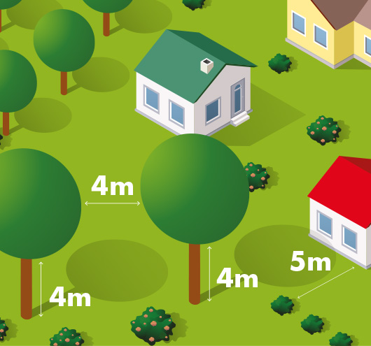 ProteccaoCivil's tweet photo. 🌳 Manter os terrenos limpos é essencial para a segurança de todos.

📅 Até 31 de maio: 50 m à volta das casas e 100 m dos aglomerados.
⚠️ Nos concelhos abrangidos por declaração de calamidade, o prazo vai até 30 de junho.

🔥 Previna incêndios. 
A proteção começa em si. 🙌 https://t.co/lYQJAbx9MB