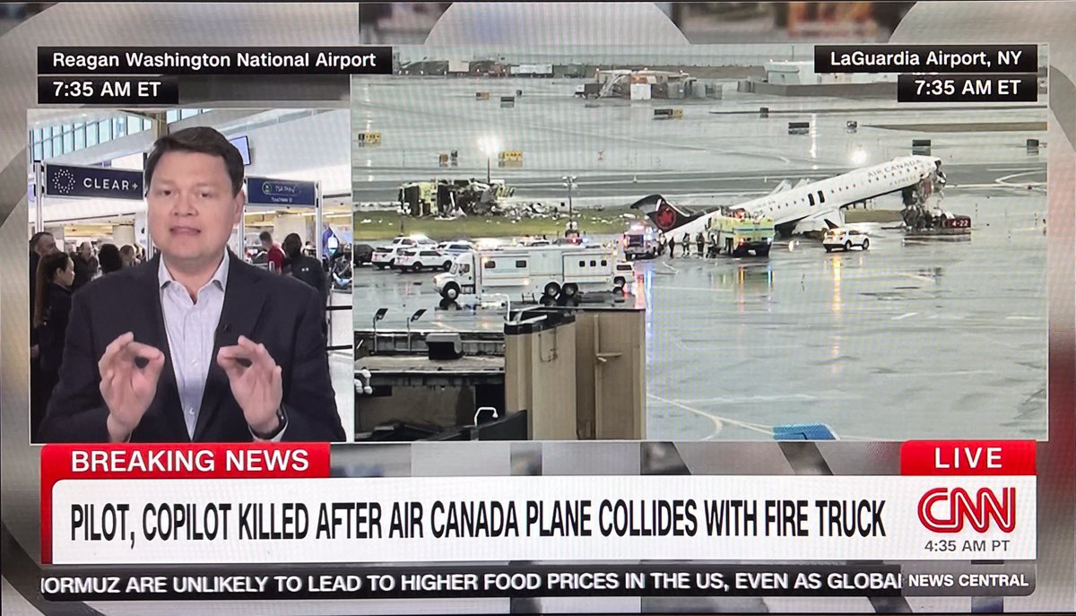 P a u l ◉ tweet media