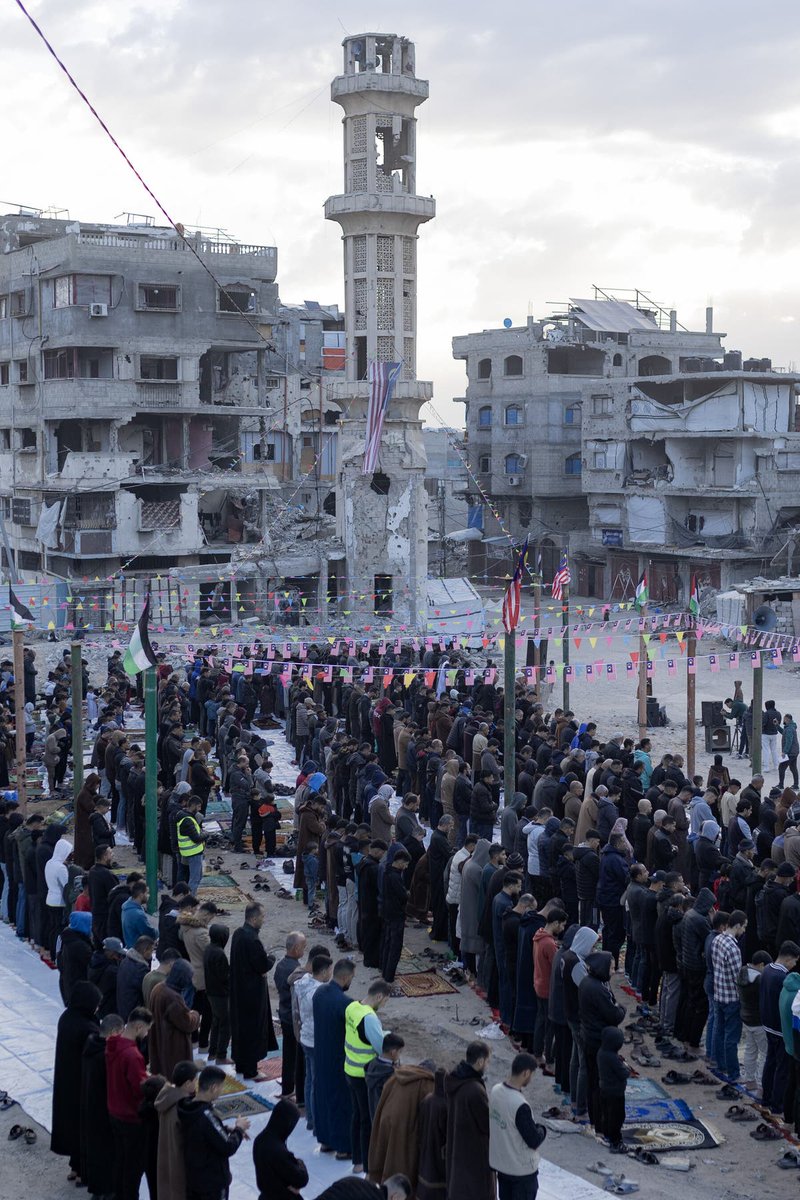 ondřej hanus 🐈‍⬛ tweet media