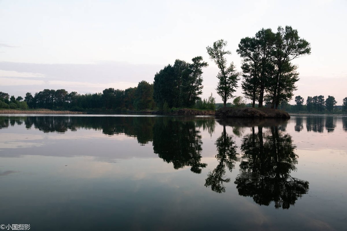 Richard Donnet tweet media