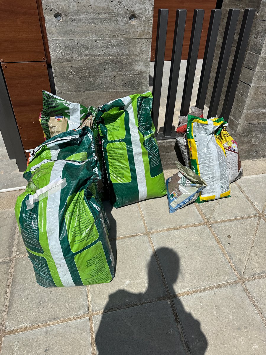 Loschique tweet media