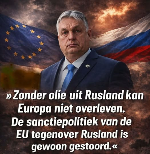 Wim den Oudsten tweet media