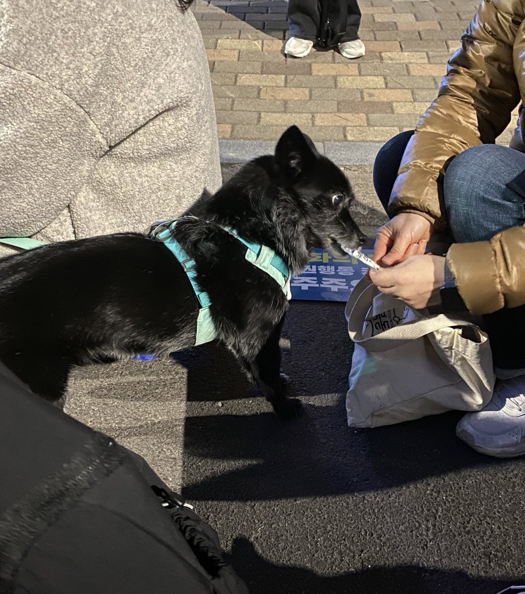 𝕏 리쭈 𝕏 tweet media