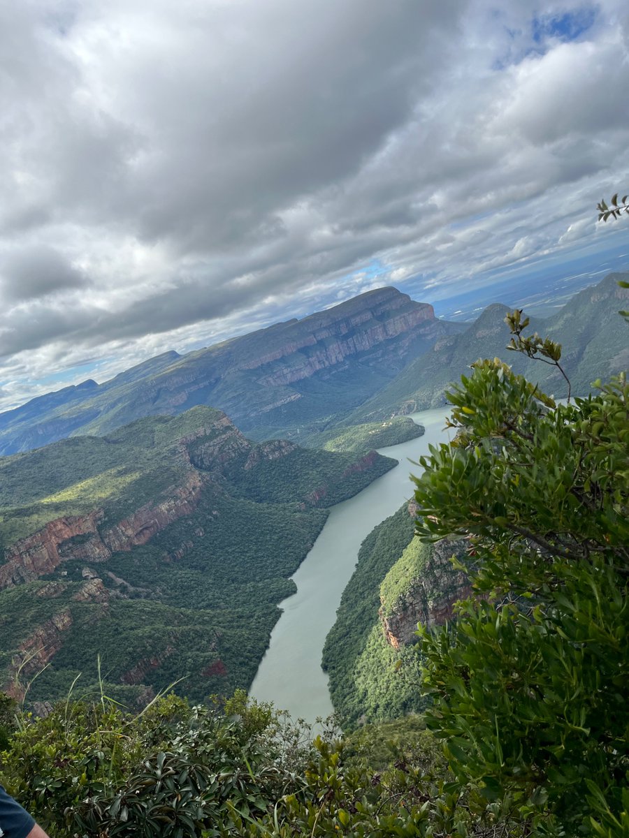 Sebulelo Nyakane tweet media