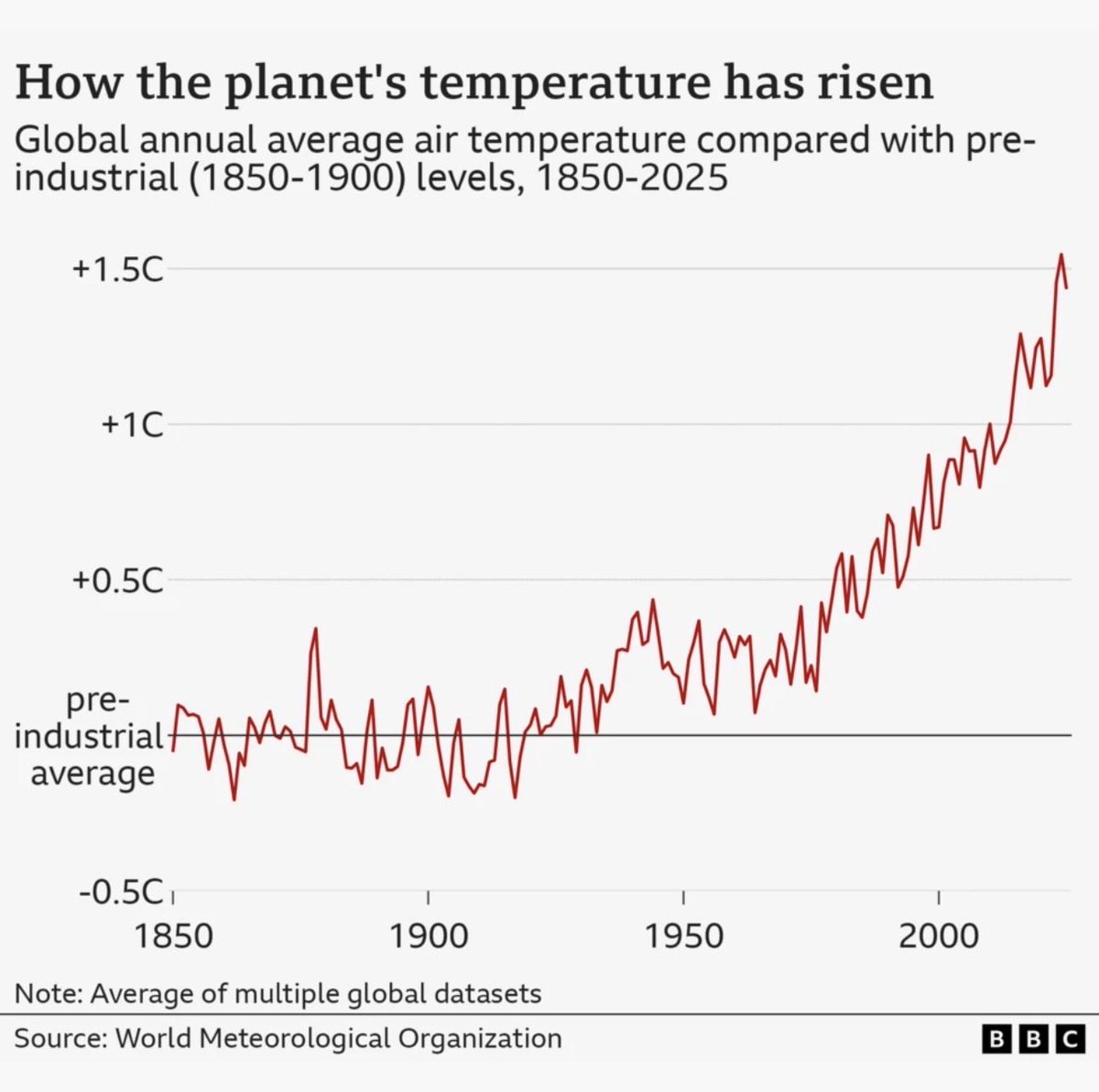 🌻 AnnetteJB- Go Wild tweet media