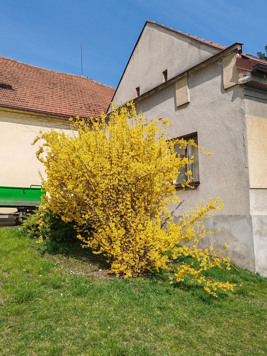 Pavla ⚓🛟 tweet media