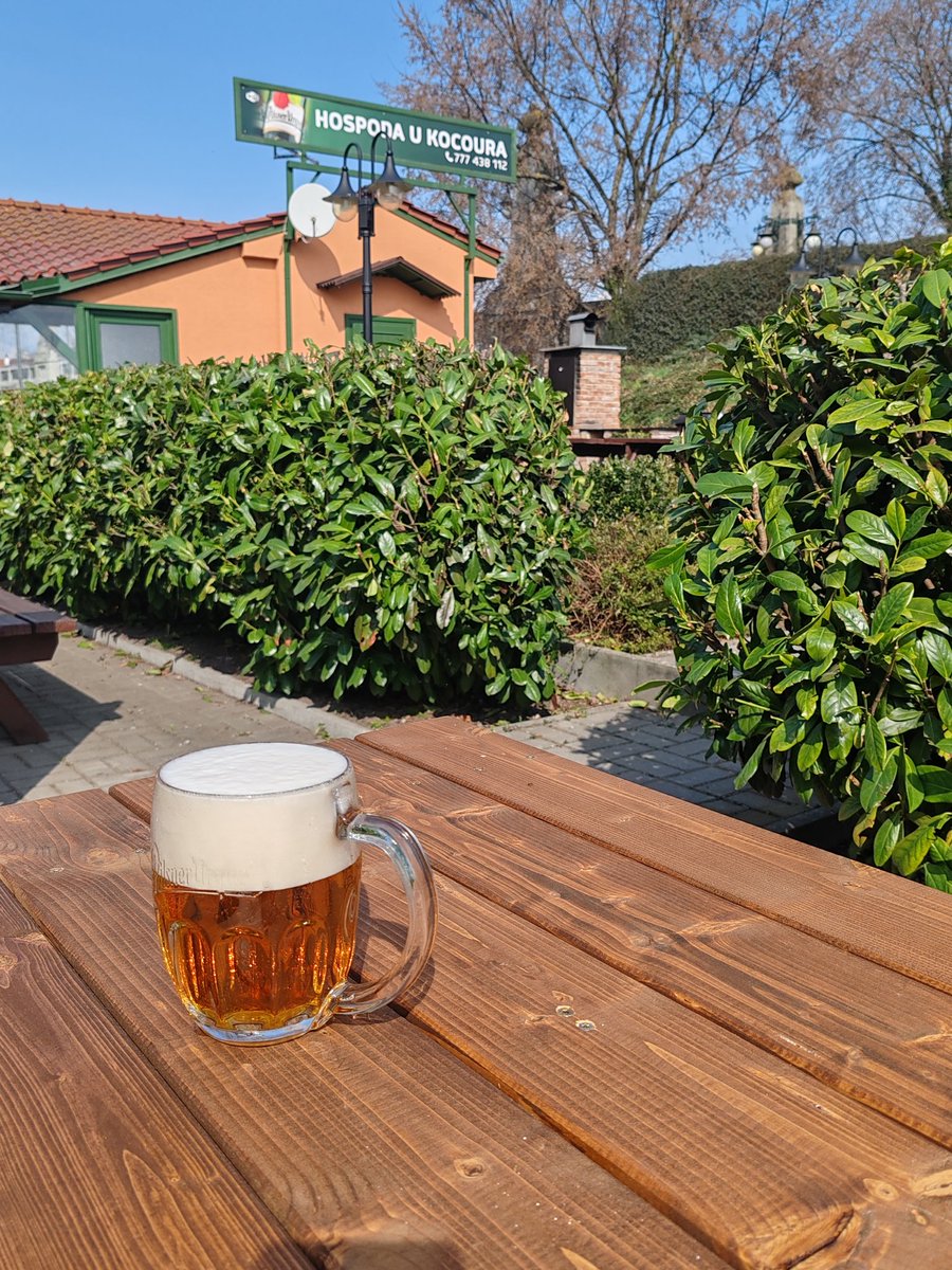 Pavla ⚓🛟 tweet media