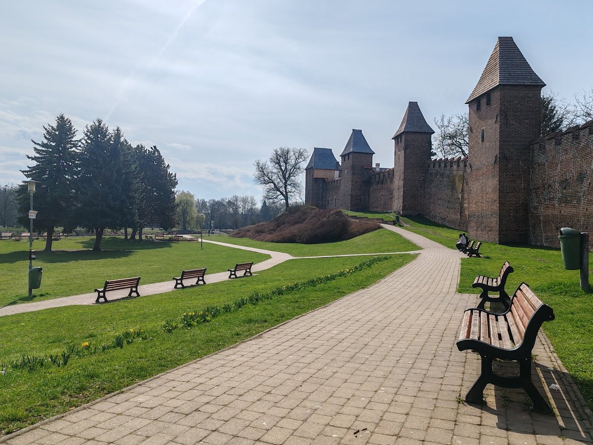 Pavla ⚓🛟 tweet media