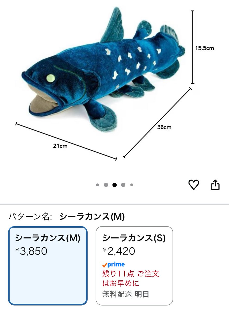 タ紀🦈エジプトの魅力YouTube配信中 tweet media