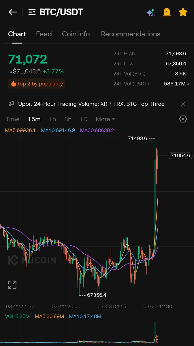 WIZZ🥷 ( beware scammers ) tweet media