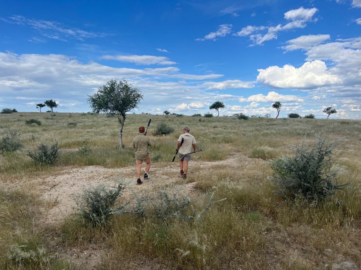 Callum87L's tweet photo. Great couple of days hunting in Nam with the Lads 🇳🇦 https://t.co/50PBch7uAy